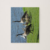 Puzzle Oies du Canada sur l'herbe par l'eau (Vertical)