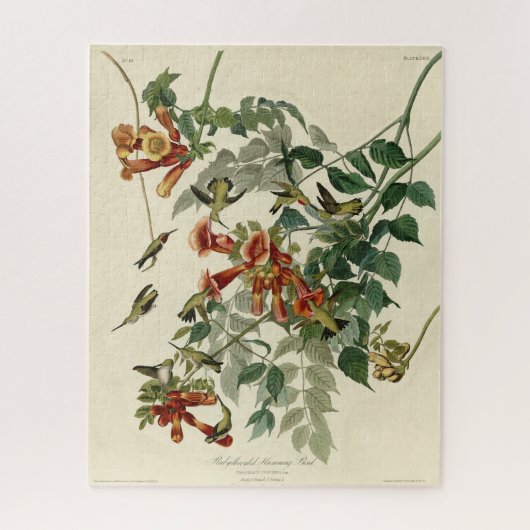 Puzzle Oiseau à gorge rubis, Audubon Oiseaux Amérique (Vertical)