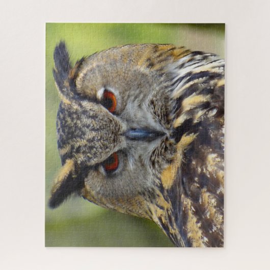 Puzzle Oiseau-Aigle de Prey. (Vertical)