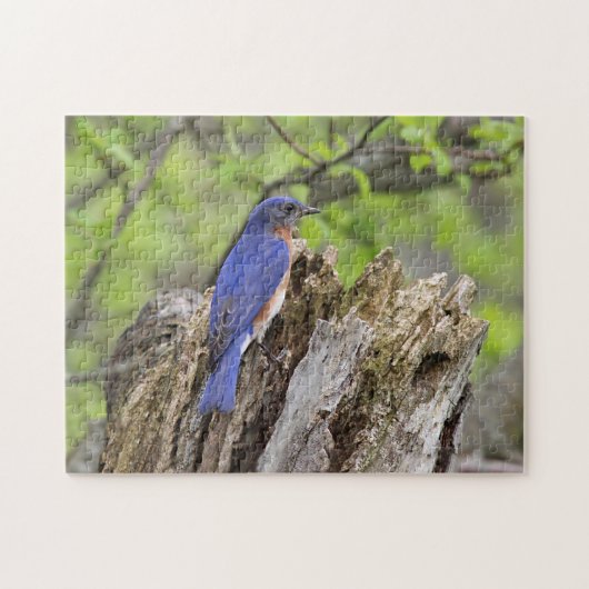 Puzzle Oiseau bleu (Horizontal)
