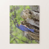 Puzzle Oiseau bleu (Vertical)