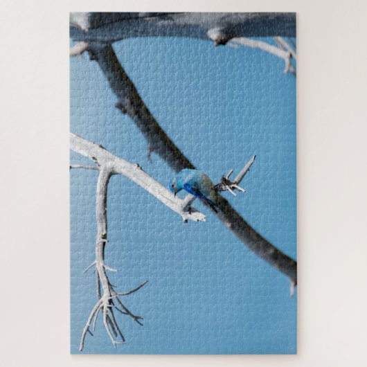Puzzle Oiseau bleu de montagne (Vertical)