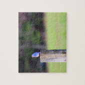Puzzle Oiseau bleu de montagne - 8x10 pouces (Vertical)