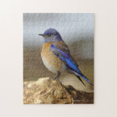 Puzzle Oiseau, Bluebird, (Vertical)