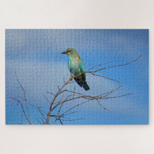 Puzzle oiseau brillant