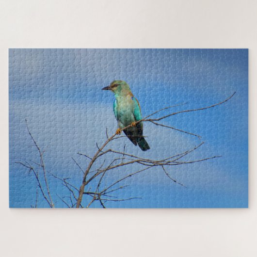 Puzzle oiseau brillant (Horizontal)