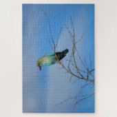 Puzzle oiseau brillant (Vertical)