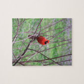 Puzzle Oiseau cardinal rouge assis sur la branche (Horizontal)