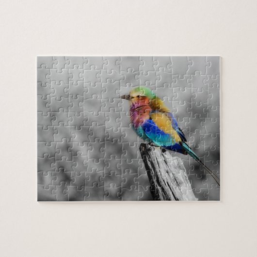 Puzzle Oiseau d'arc-en-ciel (Horizontal)