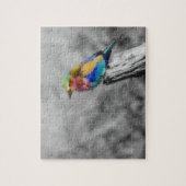 Puzzle Oiseau d'arc-en-ciel (Vertical)