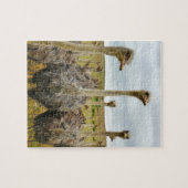 Puzzle Oiseau d'autruche (Horizontal)