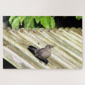 Puzzle Oiseau de chat (Horizontal)