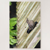 Puzzle Oiseau de chat (Vertical)