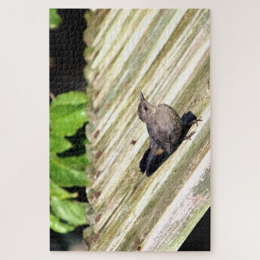 Puzzle Oiseau de chat (Vertical)