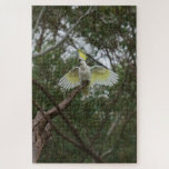 Puzzle Oiseau de Cockatoo à crête de soufre, 1014 pièces<br><div class="desc">Le cri criant du Cockatoo à crête de soufre se fait entendre dans de nombreuses parties de l'est et du nord de l'Australie. Un troupeau de centaines d'oiseaux blancs enneigés aux crêtes jaune pâle peut être un spectacle spectaculaire quand on le voit au loin, mais jusqu'à la fermeture de leurs...</div>