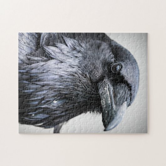 Puzzle Oiseau de corbeau noir (Horizontal)