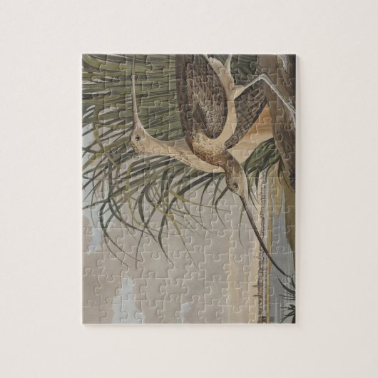 Puzzle Oiseau de Courlis à long bec Audubon (Vertical)