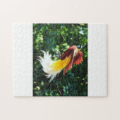 Puzzle Oiseau-de-Paradis (Horizontal)