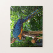Puzzle Oiseau de perroquet bleu et or macaw (Vertical)