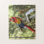 Puzzle Oiseau de perroquet Tropical Coloré (Vertical)