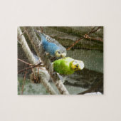 Puzzle Oiseau de perruche (Horizontal)