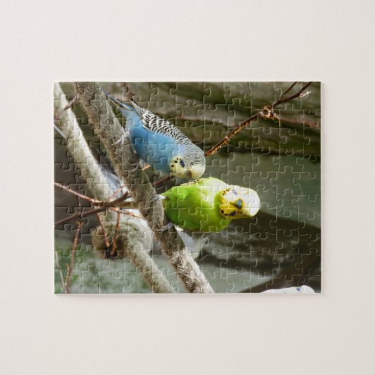 Puzzle Oiseau de perruche (Horizontal)