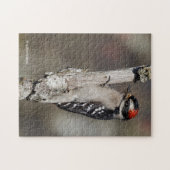 Puzzle Oiseau de pic mou Downy sur la branche (Horizontal)