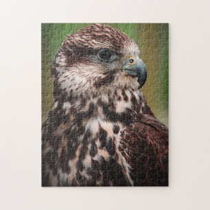 Puzzle Oiseau de proie