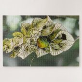 Puzzle Oiseau de Shy, Euphonie d'Olive (Horizontal)