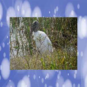 Puzzle Oiseau de Woodstork Floride Photo