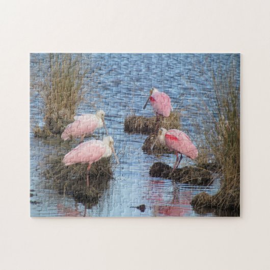 Puzzle Oiseau d'eau rose de spatules de spatule rose (Horizontal)