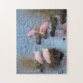 Puzzle Oiseau d'eau rose de spatules de spatule rose (Vertical)
