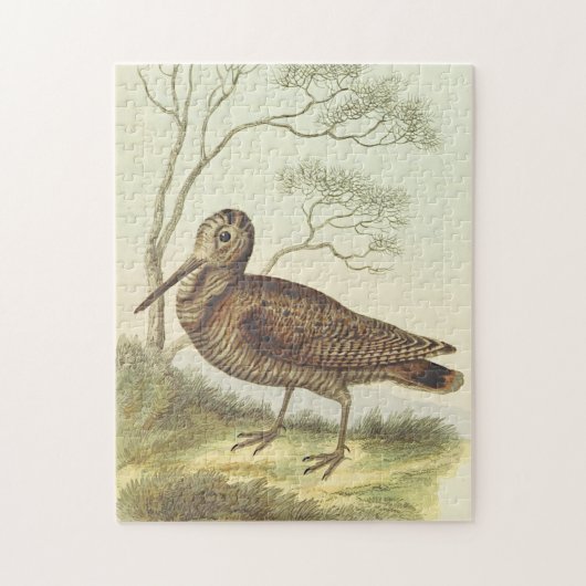 Puzzle Oiseau debout sur le sol, regard Vintage (Vertical)