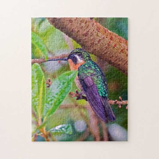 Puzzle Oiseau du Costa Rica - Colibri à gorge enflammée (Vertical)