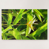 Puzzle Oiseau du Paradis (Horizontal)