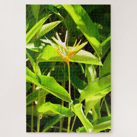 Puzzle Oiseau du Paradis (Vertical)