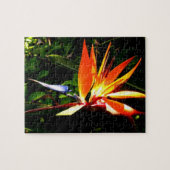 Puzzle Oiseau du Paradis - Couleurs brillantes ! (Horizontal)