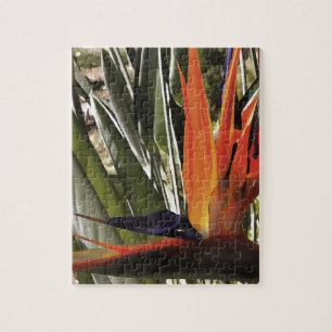 Puzzle Oiseau du Paradis Strelitzia Reginae Acrylique Pai