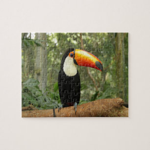 Puzzle Oiseau du Toucan sur la branche de l'arbre
