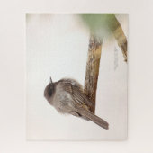 Puzzle Oiseau en Branche Jeune Junvenile Noir Phoebe Jigs (Vertical)