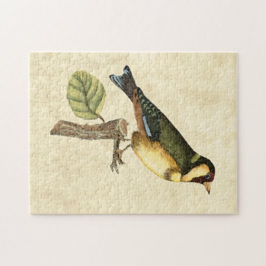 Puzzle Oiseau jaune et vert perché sur une petite branche (Horizontal)