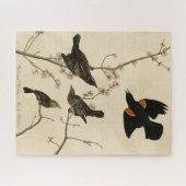 Puzzle Oiseau noir à ailes rouges - Oiseaux d'Amérique d' (Horizontal)