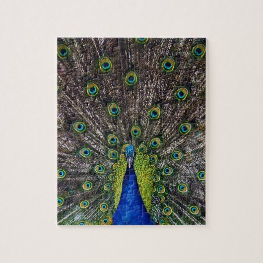 Puzzle Oiseau paon magnifique (Vertical)