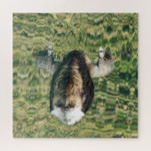 Puzzle Oiseau Photo Petite Grebe Réflexion de l'eau Natur (Horizontal)