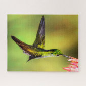 Puzzle Oiseau rose de colibri (Horizontal)