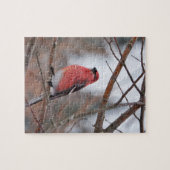 Puzzle Oiseau rouge dans la neige d'hiver (Horizontal)
