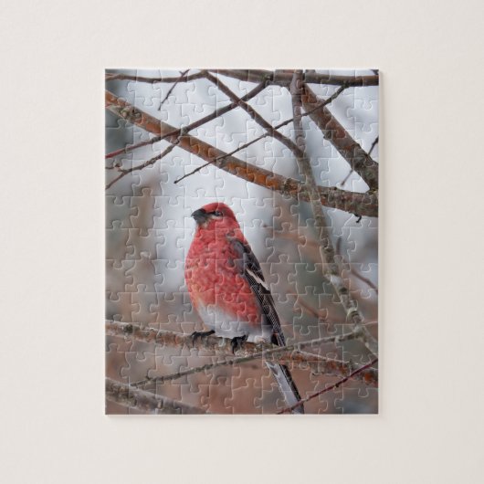 Puzzle Oiseau rouge dans la neige d'hiver (Vertical)