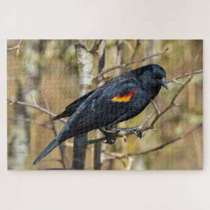 Puzzle Oiseau roux