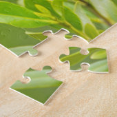 Puzzle Oiseau-roux (Agelaius Phoeniceus) (Côté)