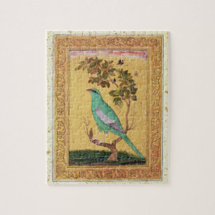 Puzzle Oiseau vert, Mughal (gouache sur le papier)